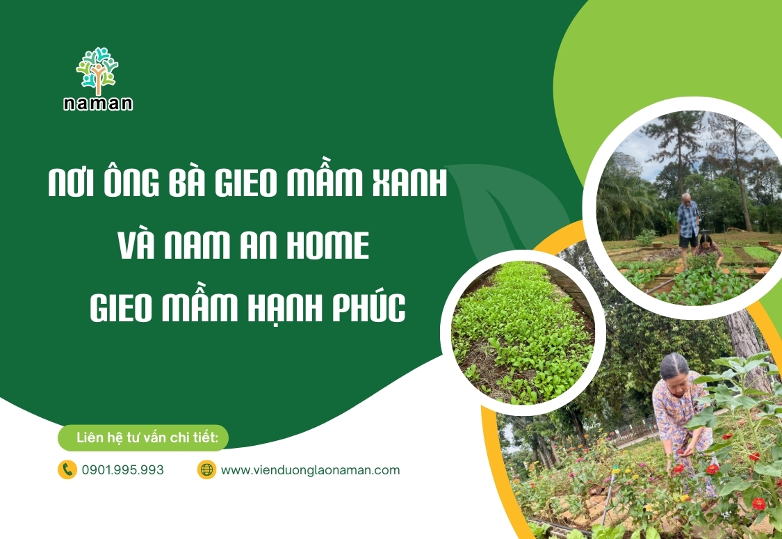 Nơi ông bà gieo mầm xanh và Nam An Home gieo mầm hạnh phúc