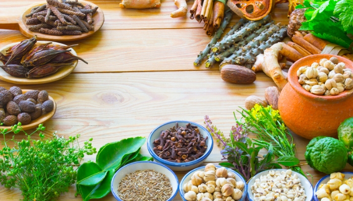 Cây thuốc nam và dinh dưỡng cho người cao tuổi: Bí quyết sống khỏe từ thiên nhiên