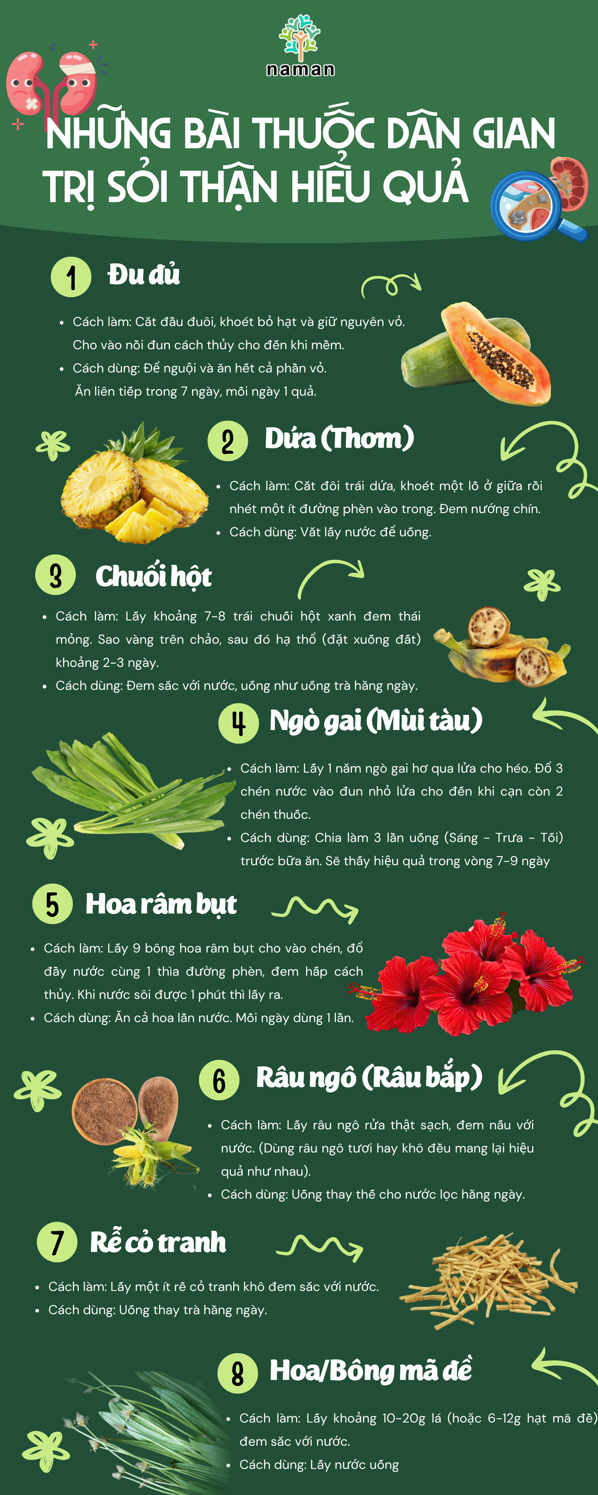 những bài thuốc trị sỏi thận