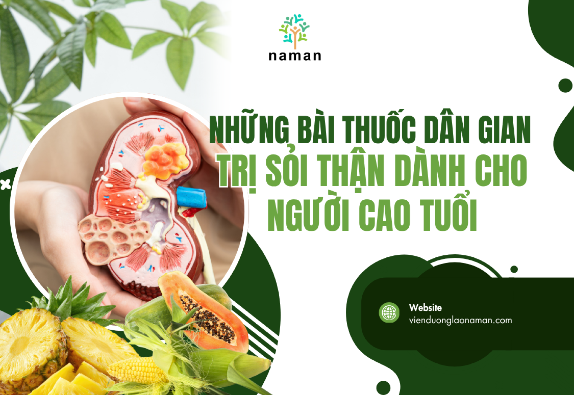  [Infographic] Những bài thuốc dân gian trị sỏi thận dành cho người cao tuổi