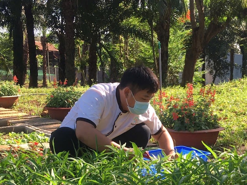 Cập nhật tình hình "Nông trại nhỏ" của Ông Bà tại Nam An
