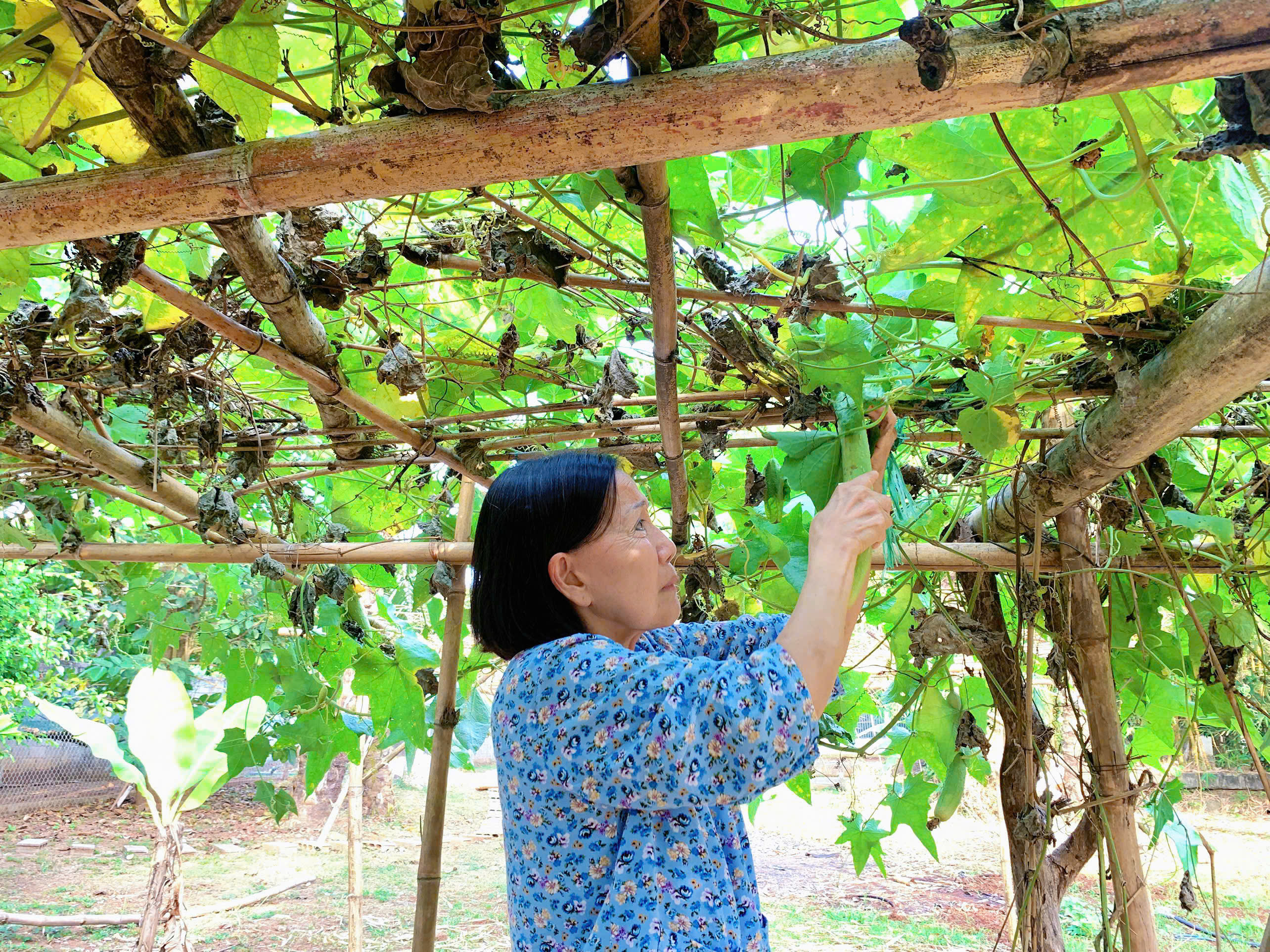 NIỀM VUI NHỎ MỖI NGÀY TẠI NÔNG TRẠI NHỎ NAM AN